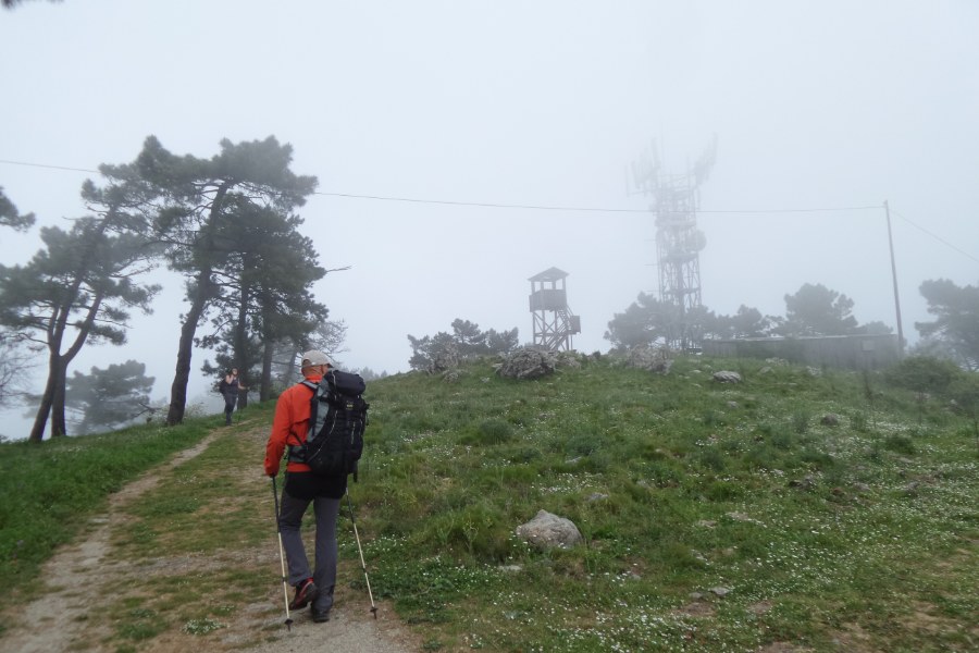 Summit