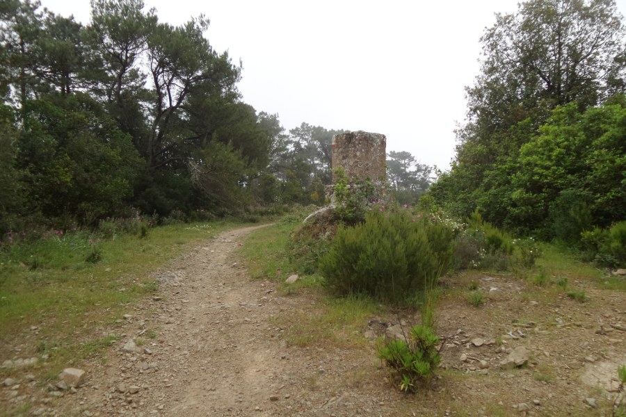 Summit