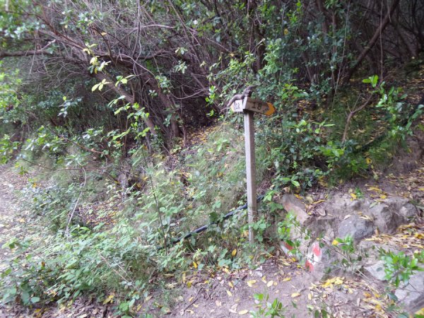 Fork
go straight