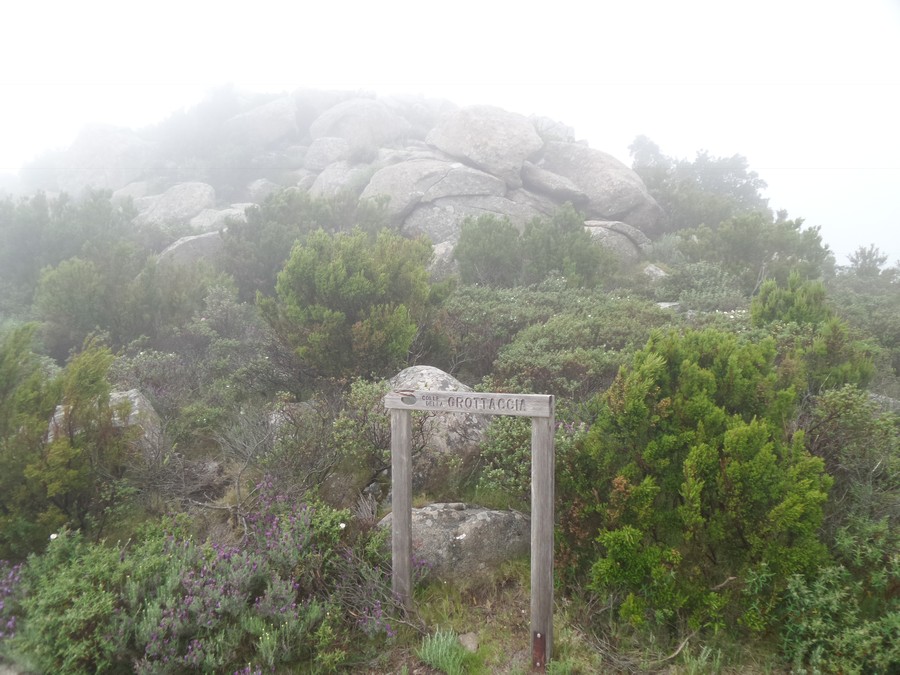 Summit