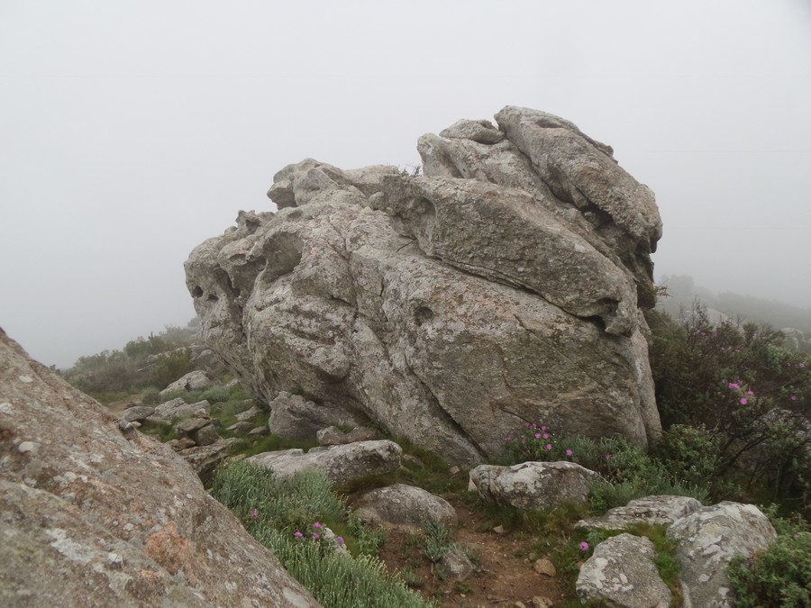 Summit