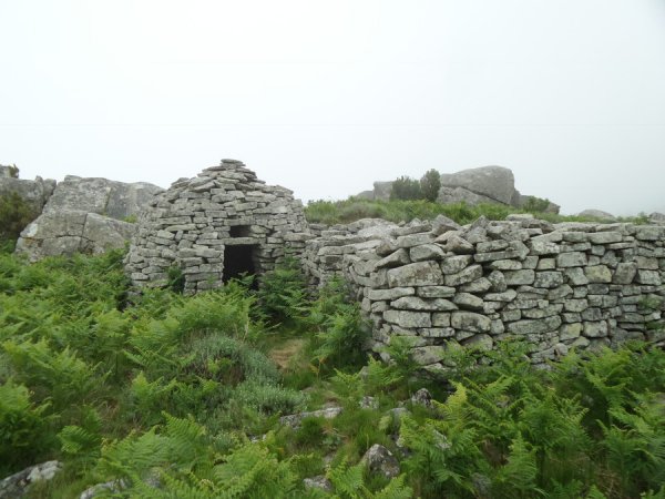Shelter
