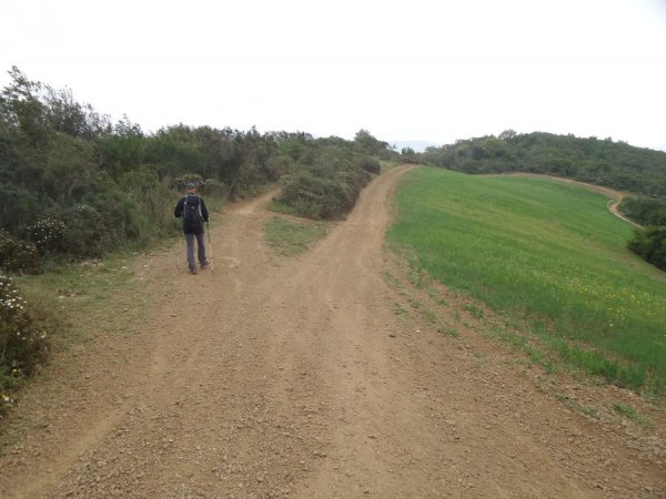 Fork
go straight
