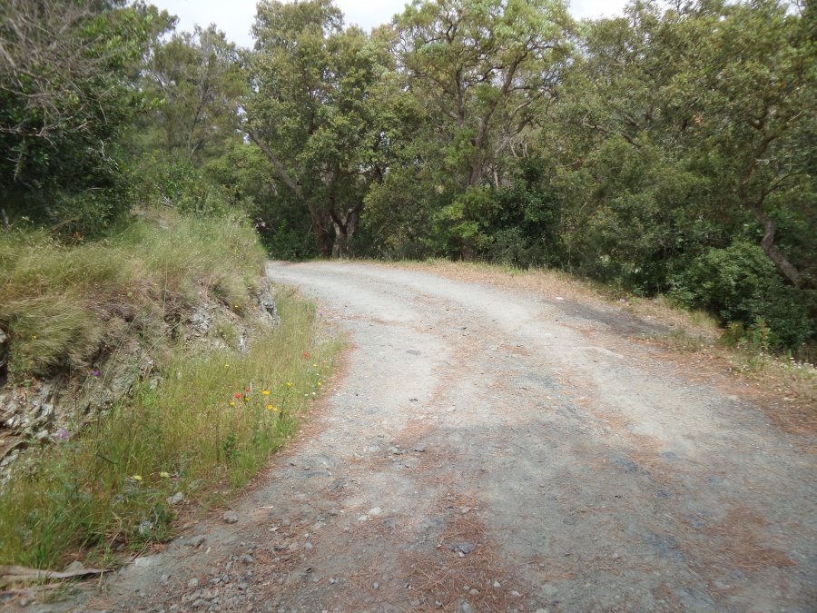 Place