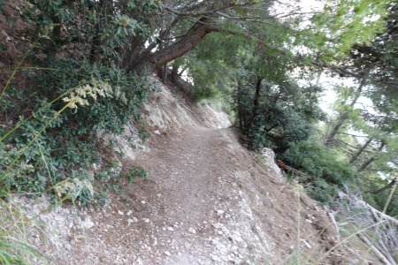 Monte Conero
sentiero 302