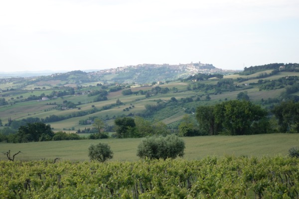 Panorama collinare verso Osimo
poco dopo Offagna
