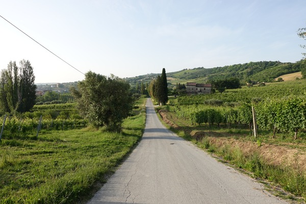 San Paolo di Jesi
le campagne circostanti