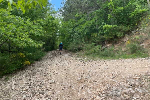 Crossroads, straight ahead

