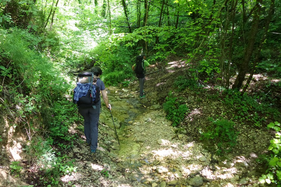 Stream