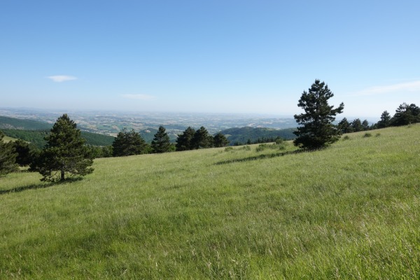 Panorama
dal sentiero per Monte Murano