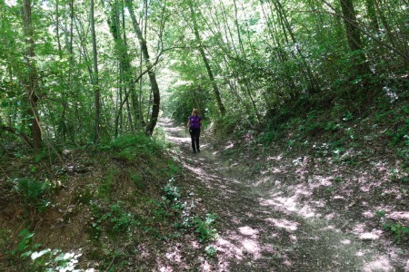 Sentiero
verso Serra San Quirico