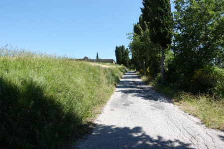 In cammino
verso Sasso