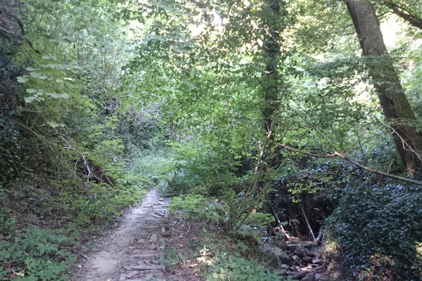 Sentiero dopo l'eremo
