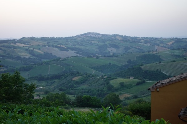 Paesaggio collinare
con vista su Cingoli