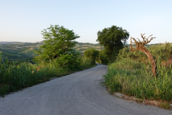 In cammino
verso San Paolo di Jesi