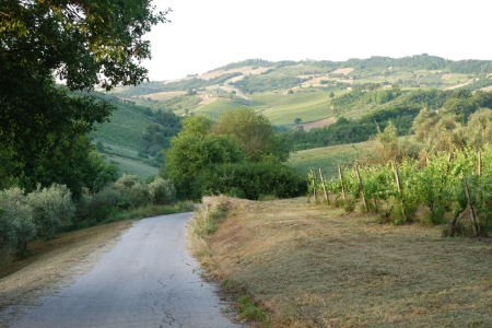 In cammino
verso San Paolo di Jesi