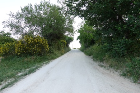 In cammino
verso San Paolo di Jesi