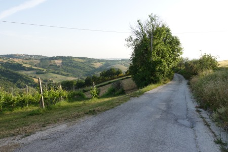 In cammino
verso San Paolo di Jesi