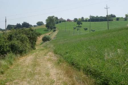 In cammino
per la scorciatoia dell'osservatorio