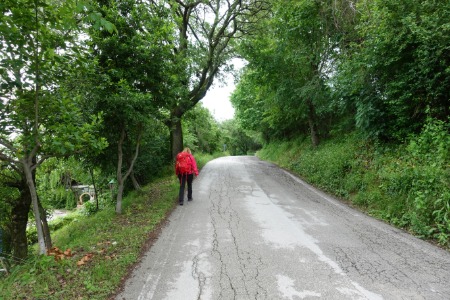 In cammino
per Viale della Repubblica