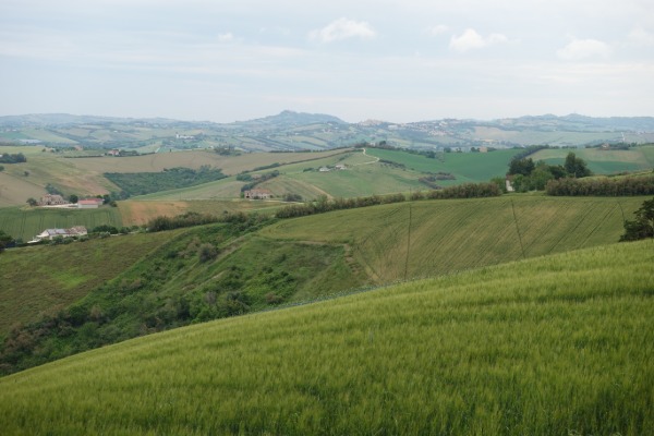 Panorama
dai pressi di Santa Maria Nuova