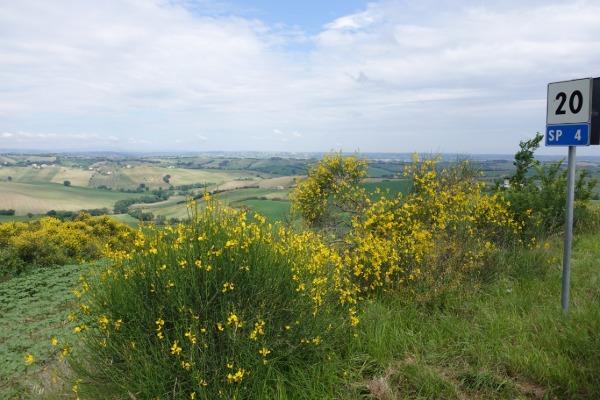 Panorama
dai pressi di Monti