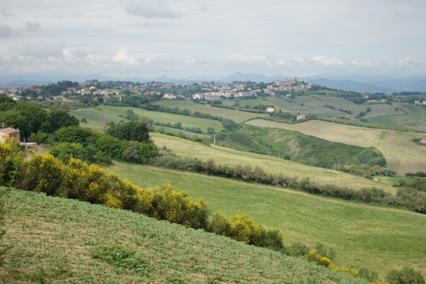 Panorama su Santa Maria Nuova
dai pressi di Monti