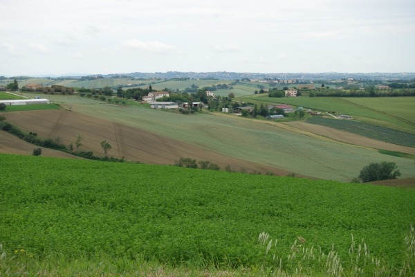 Panorama
dalla strada per Polverigi