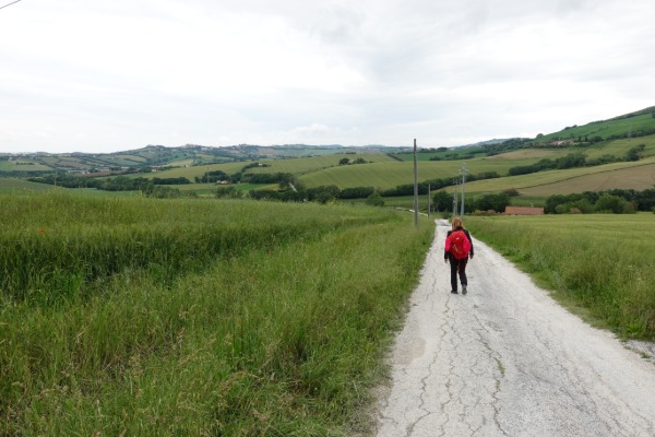 In cammino
verso Polverigi