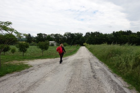 In cammino
verso Polverigi