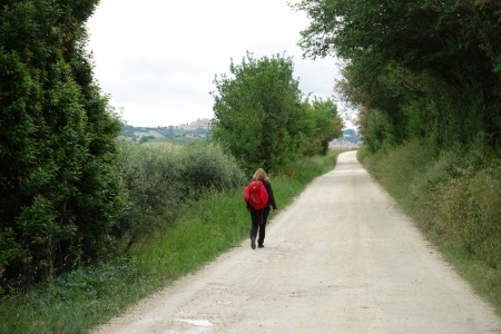 In cammino
verso Polverigi