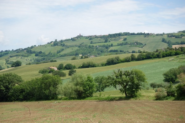 Panorama verso Offagna
