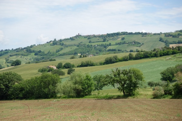 Panorama verso Offagna
