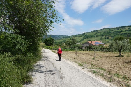 In cammino
verso Offagna