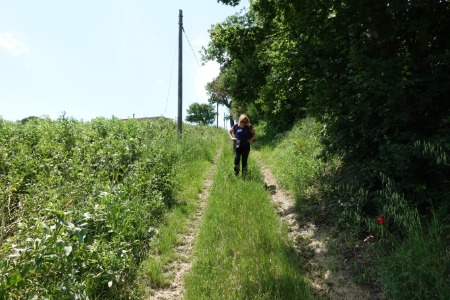 In cammino
verso Offagna