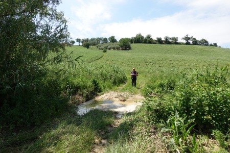 In cammino
 verso Offagna