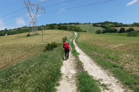 In cammino
verso Offagna