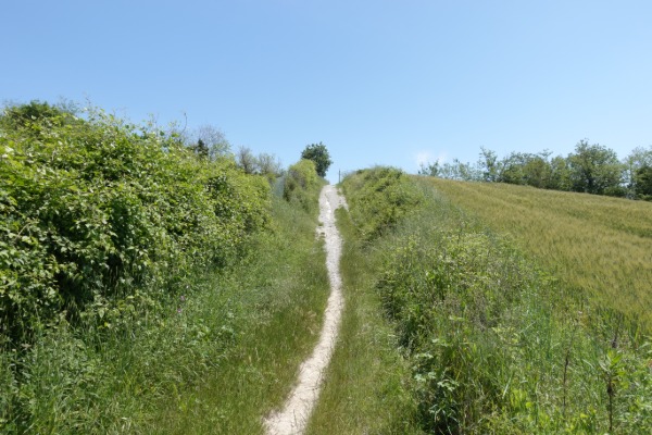 In cammino
verso Massignano