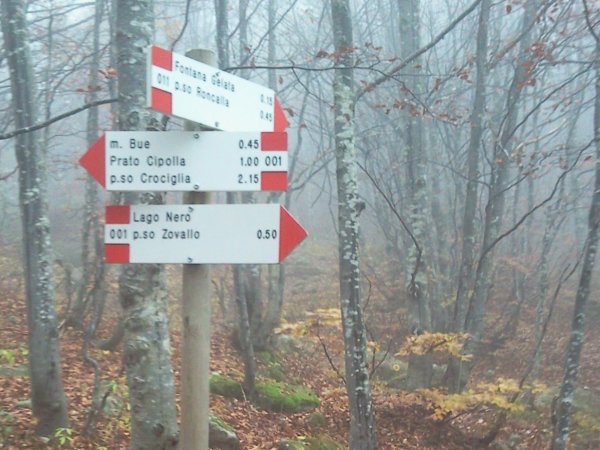 Fork
Crociglia - Lago Nero