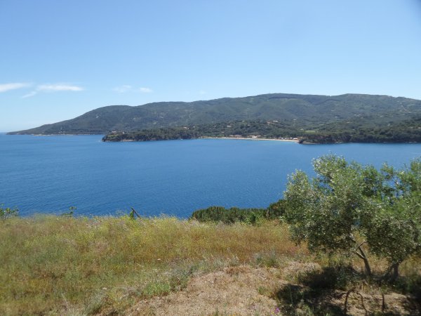 View point
