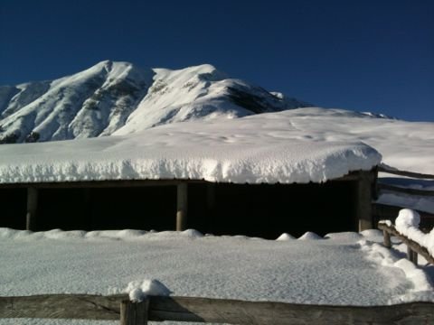 Barn

