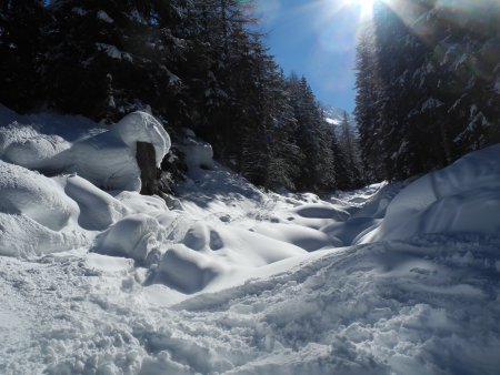 nel canale