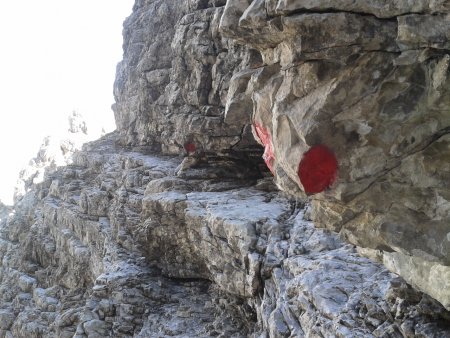 /treks/europe/it/bl/dolomiti-friulane/spalti-di-toro/campanile-toro/attacco/image.jpg