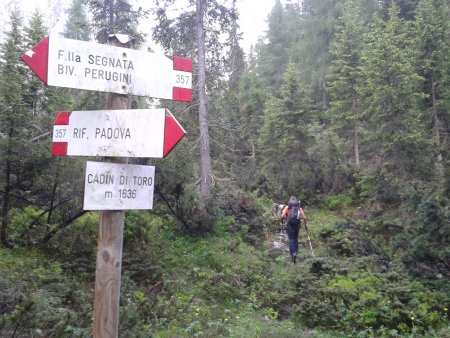 /treks/europe/it/bl/dolomiti-friulane/spalti-di-toro/campanile-toro/deviazione/image.jpg