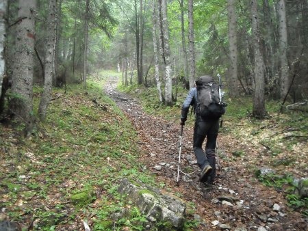 /treks/europe/it/bl/dolomiti-friulane/spalti-di-toro/campanile-toro/sentiero.jpg