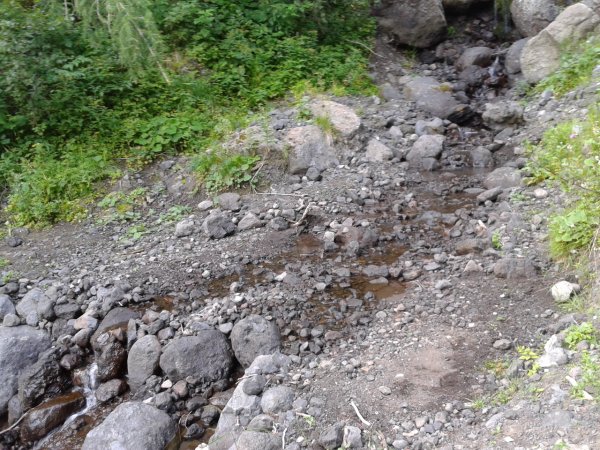 Stream
