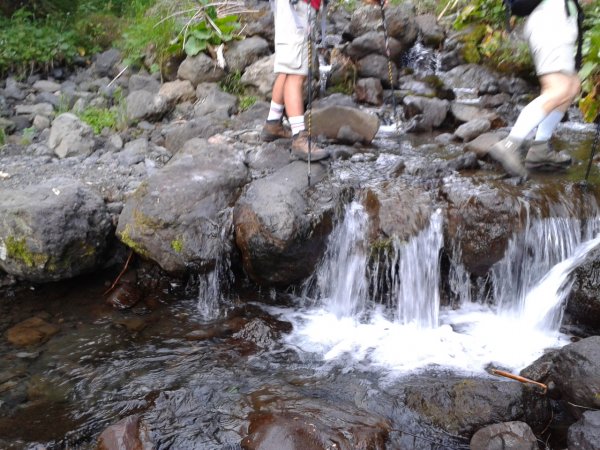 Stream
