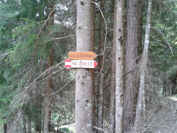 Signpost
