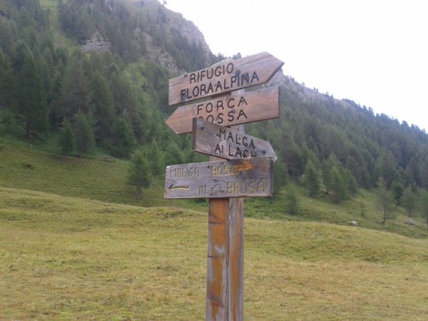 Fork
to Malga ai Lac