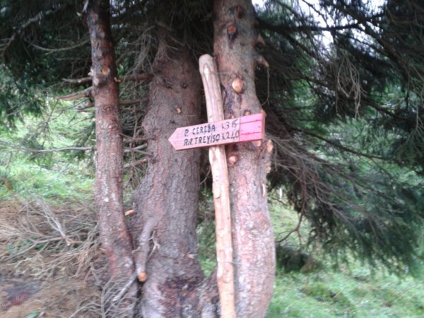 Signs
